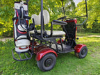 (Golf01) 4 Motor High Quality 2 Person Elderly Mobility Scooter Golf Buggy Cart Golf Car