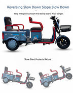 Mobility Scooter For Senior 3 Wheels Electric Scooter Cargo 600W 60V Electric Tricycle For Adults With Back Seat Movable Trike